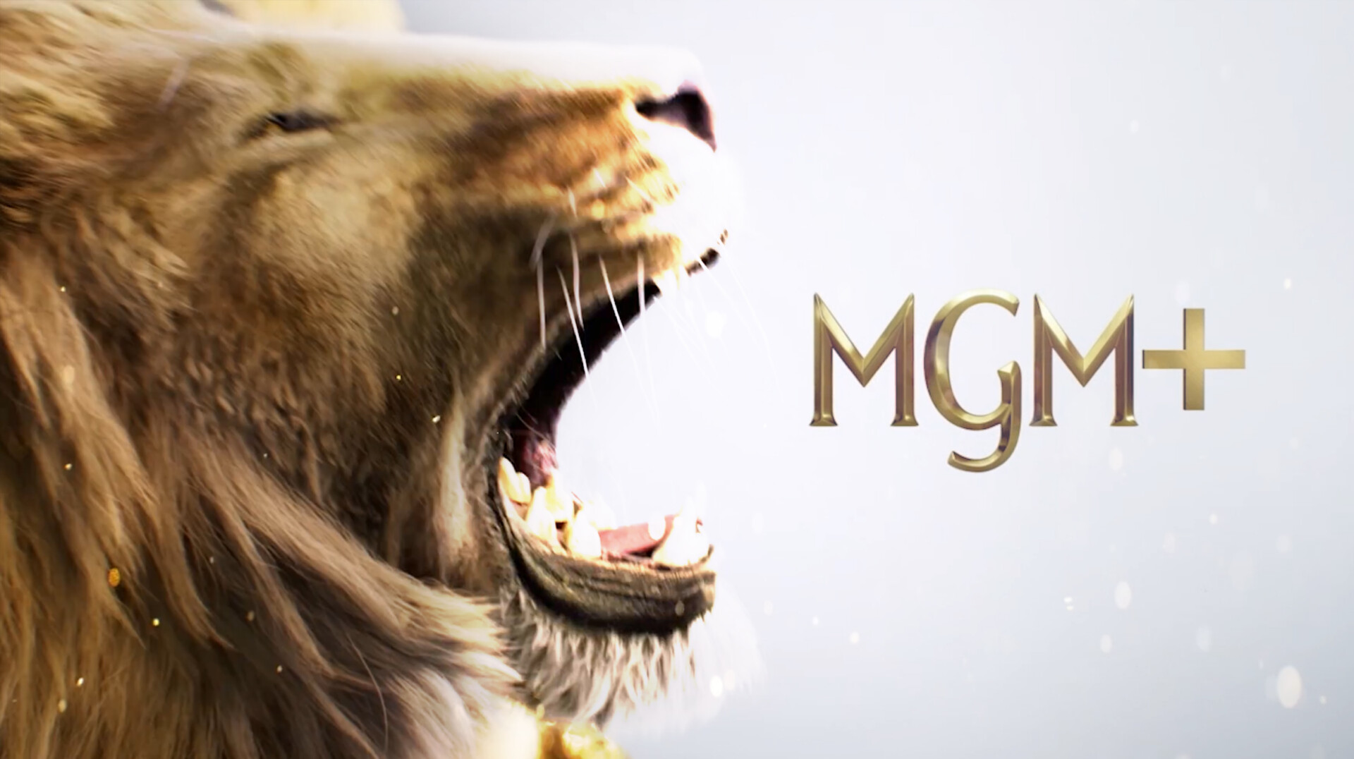 Mgm Color Work - GLOW